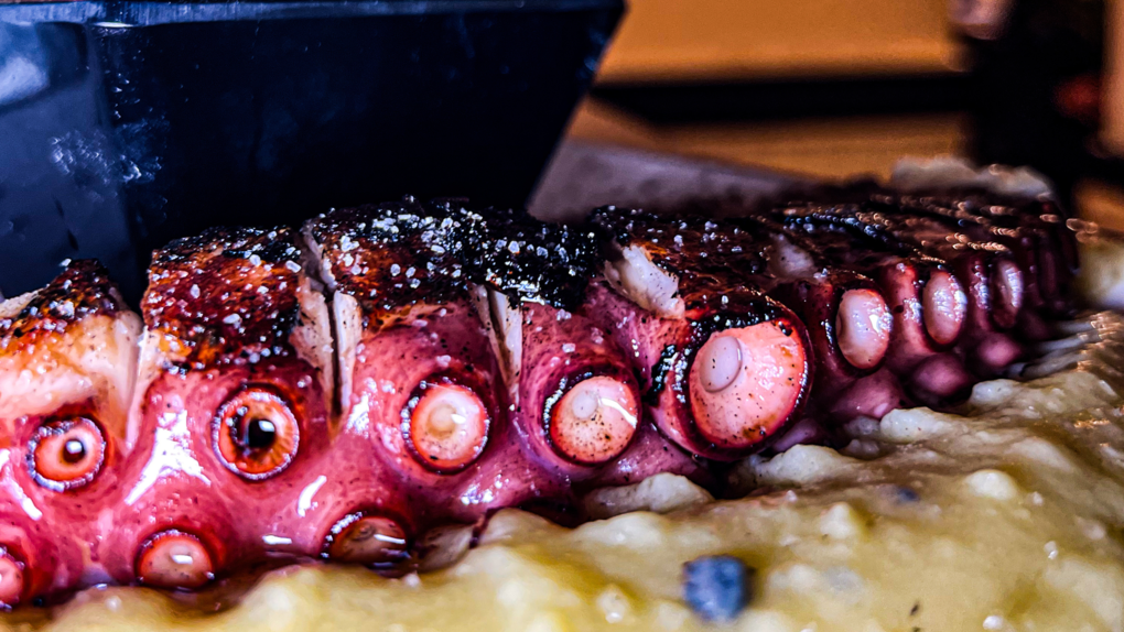 foto plato de comida